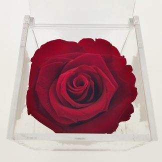 Rosa Cube 8x8 Rossa
