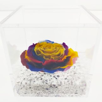 Rosa Cube Limited Edition Solar Rainbow