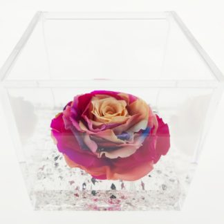 Rose Cube